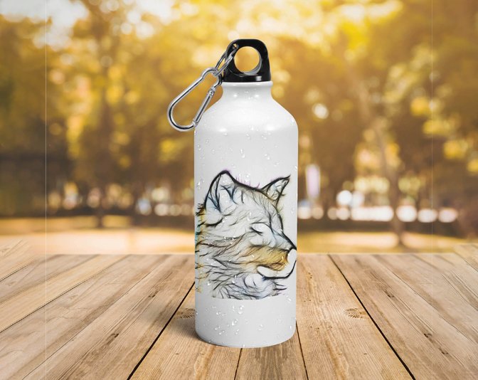 Aluminium printed bottle